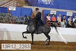 13r12_2283 thumbnail
