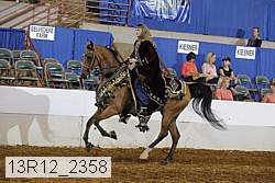 13r12_2358 thumbnail