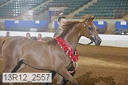13r12_2557 thumbnail