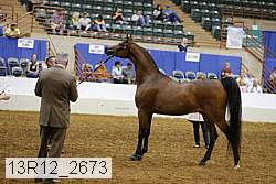 13r12_2673 thumbnail