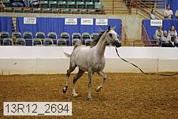 13r12_2694 thumbnail