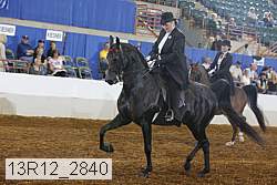 13r12_2840 thumbnail