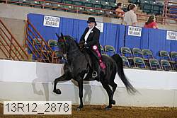 13r12_2878 thumbnail