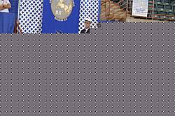 13r12_2914 thumbnail