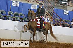 13r12_2998 thumbnail