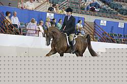 13r12_3006 thumbnail