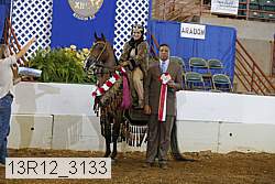 13r12_3133 thumbnail