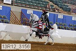 13r12_3156 thumbnail