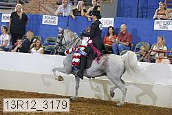 13r12_3179 thumbnail