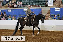 13r12_3214 thumbnail