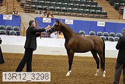 13r12_3298 thumbnail