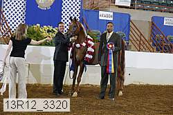 13r12_3320 thumbnail