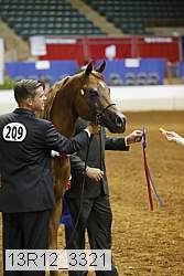 13r12_3321 thumbnail