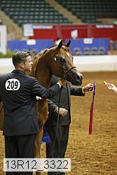 13r12_3322 thumbnail