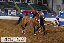 13r12_3325 thumbnail