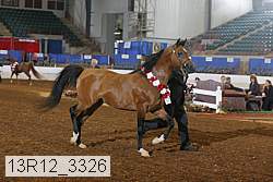 13r12_3326 thumbnail