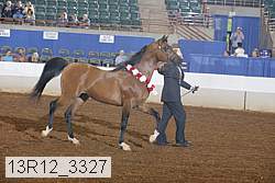 13r12_3327 thumbnail