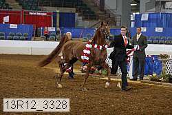 13r12_3328 thumbnail