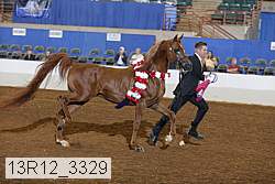 13r12_3329 thumbnail