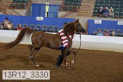 13r12_3330 thumbnail