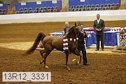 13r12_3331 thumbnail