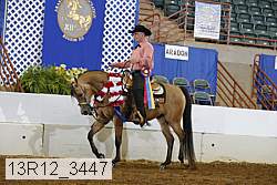13r12_3447 thumbnail