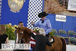 13r12_3517 thumbnail