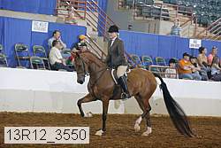 13r12_3550 thumbnail