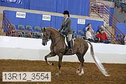 13r12_3554 thumbnail