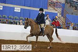 13r12_3556 thumbnail