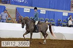 13r12_3560 thumbnail