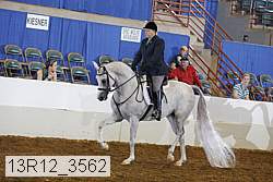 13r12_3562 thumbnail
