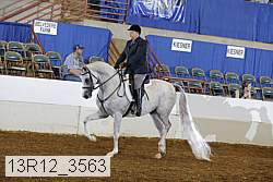 13r12_3563 thumbnail