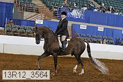 13r12_3564 thumbnail