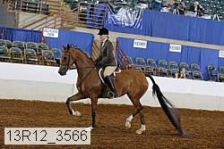 13r12_3566 thumbnail