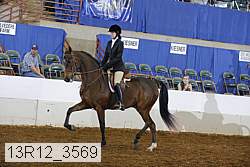 13r12_3569 thumbnail