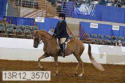 13r12_3570 thumbnail