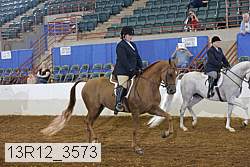 13r12_3573 thumbnail