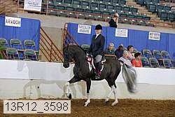 13r12_3598 thumbnail