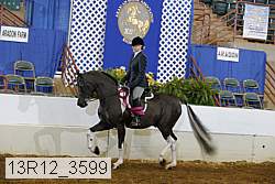 13r12_3599 thumbnail