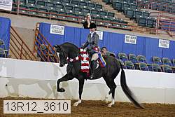 13r12_3610 thumbnail