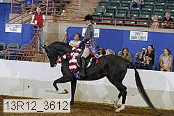 13r12_3612 thumbnail