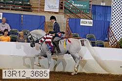 13r12_3685 thumbnail