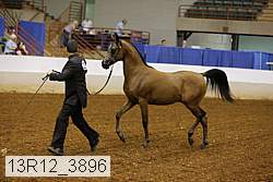 13r12_3896 thumbnail