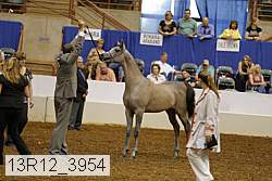 13r12_3954 thumbnail