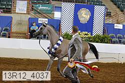 13r12_4037 thumbnail