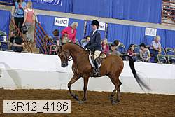 13r12_4186 thumbnail