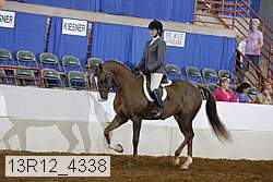13r12_4338 thumbnail