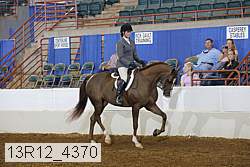 13r12_4370 thumbnail