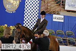 13r12_4378 thumbnail
